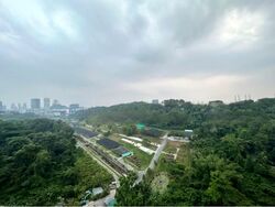 Normanton Park (D5), Apartment #461345241
